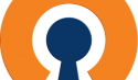 скачать OpenVPN бесплатно 